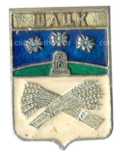 Значок Шацк