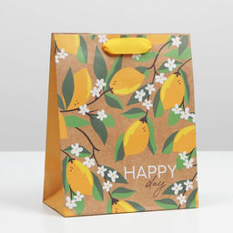 Пакет крафтовый вертикальный Happy day, MS 18 23 8 см