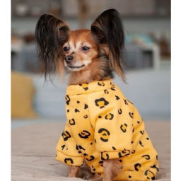 Кофта - толстовка для мелких пород собак "BRO Style", принт леопард, р 2XL