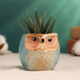 Декоративный горшок для цветов «Сова Ава» керамический, 100 мл, 6.5×6.5×6 см, голубой