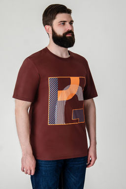 Арт. 614-152 Футболка мужская 48-56 (5 шт) Цвет:кирпичный - Идеал фото 4