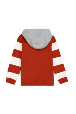 Детская толстовка с капюшоном и плиткой - U.s. polo assn фото 8