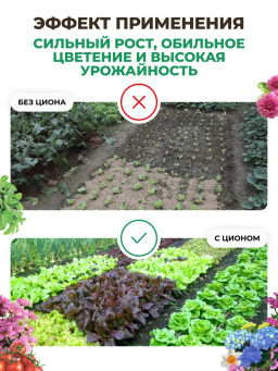 ЦИОН для овощей (пролонгированное питание для растений),800 г