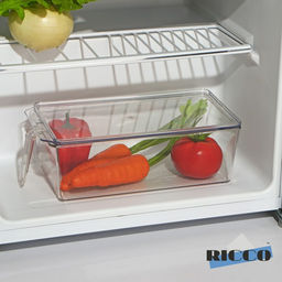 Контейнер для холодильника с крышкой и ручкой RICCO, 32?14,5?10 см