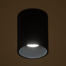 Светильник «Аква» LED 30 Вт 4000К IP65 Ra92 черный 11.5×11.5×15.2 см