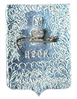 Значок Епифань