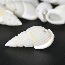 Ракушки природные "Риссоа белая" 8*20мм, 25г Радуга камня