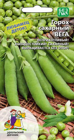 Горох ВЕГА Любимец деток! Неприхотливый! Холодостойкий! Сахарный! Выращивается без опор!
