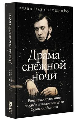 Драма снежной ночи: Роман-расследование о судьбе и уголовном деле Сухово-Кобылина - Аст фото 2