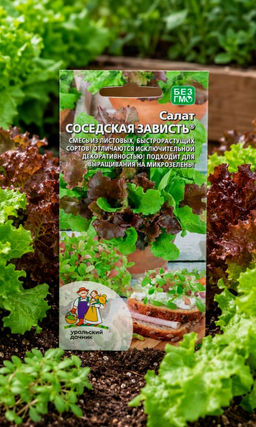 Салат СОСЕДСКАЯ ЗАВИСТЬ - Уральский дачник фото 2