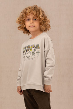 U. S. Polo Assn / Бежевый свитшот с круглым вырезом Boy для мальчиков - U.s. polo assn фото 18