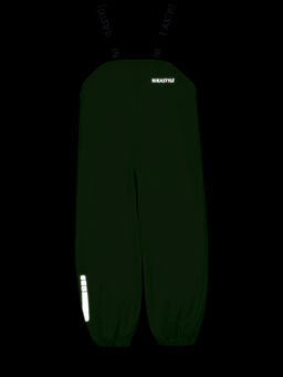 Полукомбинезон 3л2722 салатовый неон