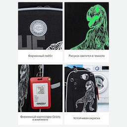 RAf-493-2 Рюкзак школьный - Grizzly фото 37