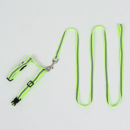 Комплект для кошек светоотражающий,ширина 1 см,шлейка 21-35 см,поводок 120 см, зелёный - Пижон фото 8