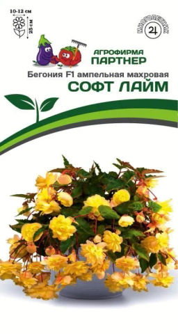 Бегония клубневидная ампельная махровая Софт Лайм