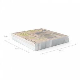 Цена за 5 шт. Тетрадь общая ученическая ErichKrause Russian Folk, Физика, 48 листов, клетка, крафт-картон  фото 6