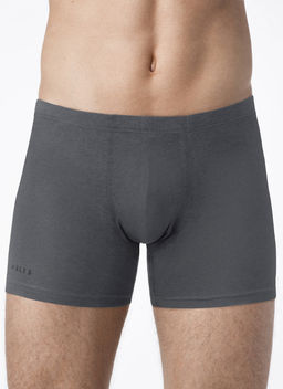 ALFA ТРУСЫ МУЖСКИЕ BOXER SHORTS 6304 (удлиненные) серый