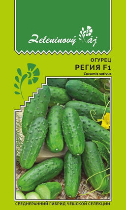 Огурец РЕГИЯ F1 Среднеранний гибрид чешской селекции!