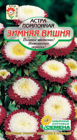 Зимняя вишня астра помпонная 0,2г (ссс)