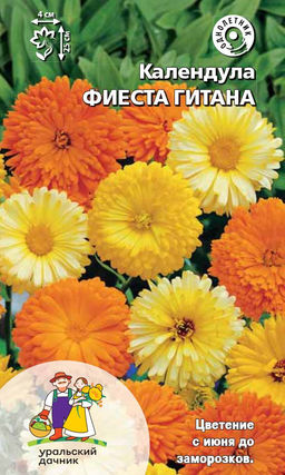 Календула ФИЕСТА ГИТАНА