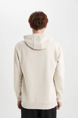 Толстовка обычного кроя с капюшоном и принтом - Defacto фото 8