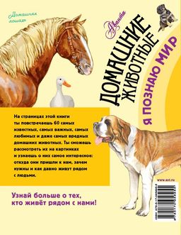 Домашние животные - Аст фото 2
