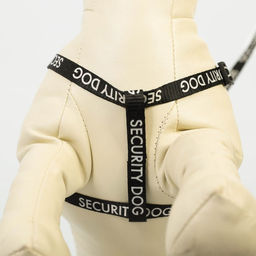 Комплект Security dog, шлейка 26-39 см, поводок 120х1 см - Пушистое счастье фото 2