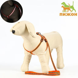 Комплект светоотражающий Косточки, ошейник 120 х 1 см, ОШ 24-40 см, ОГ 24-40 см оранжевый