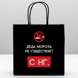 Цена за 2 шт. Пакет подарочный новогодний «Деда мороза не существует», 22×22×11 см