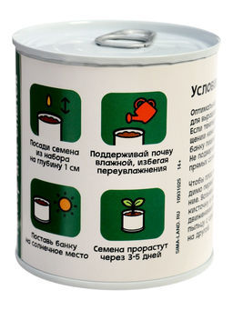 ЭВРИКИ Набор для опытов "Мой мини-сад", огурец