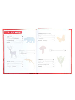 Детская энциклопедия «Красная книга», 48 стр. 7+