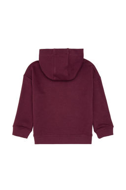 Erkek _ocuk Bordo Kap__onlu Sweatshirt Sepette S_rpriz _ndirim - U.s. polo assn фото 2