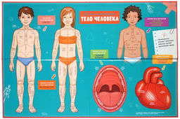 Тело человека. Интерактивная детская энциклопедия с магнитами (нов.оф.) (в коробке). Педрола А. - Махаон фото 3