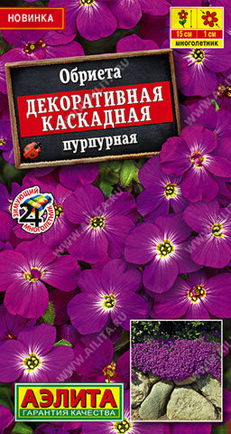 Обриета Декоративная каскадная пурпурная