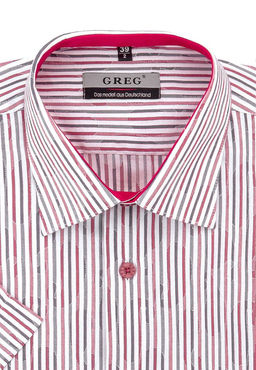 Сорочка мужская короткий рукав GREG Gb613/309/5/Z/P/1