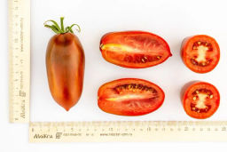 Томат Бурая Гроздь - Партнер фото 2