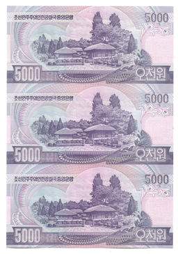 Банкнота 5000 вон 2006 года Северная Корея  Лист из трех банкнот