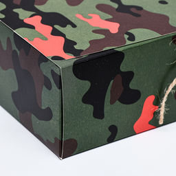 Коробка складная подарочная Непобедимому 31?24.5?8 см