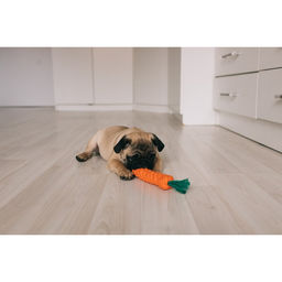 Игрушка канатная Морковь, до 18 см, до 50 г, оранжевая/зелёная - Пижон фото 4