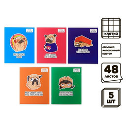 Комплект тетрадей из 5 штук, 48 листов в клетку Calligrata "Мопс", обложка мелованный картон, блок офсет