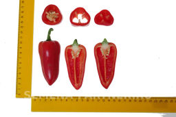 Перец сладкий Фьюджи - Партнер фото 7