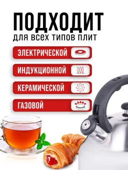 28996 Чайник 3,5 л нерж/сталь со свистком MB (х12) - Mayer&boch фото 6