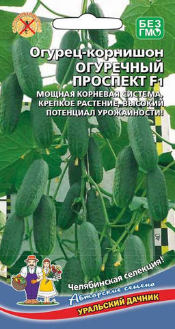 Огурец ОГУРЕЧНЫЙ ПРОСПЕКТ F1  Мощная корневая система, крепкое растение, высокий потенциал урожайности!