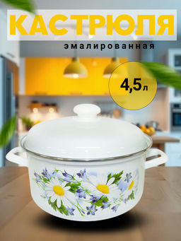 Кастрюля 4,5л 1515 АП2/4 Ромашковое поле