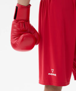 Перчатки боксерские INSANE RBF IN25-BG700, красный, 10 oz  фото 5
