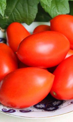 Томат НОВЫЙ КЁНИГСБЕРГ ОРАНЖЕВЫЙ Раннеспелый! Сладкий! Засухоустойчивый! Устойчив к вершинной гнили!