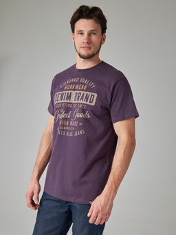 Футболка мужская арт. 02285/Brand - F5 фото 4