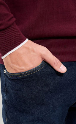 Джемпер мужской в полоску с воротником-стойкой на молнии F221-15-831 сине-бордовый - Fine joyce фото 9