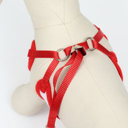 Комплект с мягкой шлейкой и бантиком Якорь, размер S, поводок 120 x 1,5 см, ОГ 23-42 см, красный - Пижон фото 4