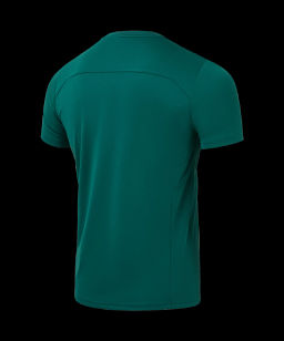 Футболка тренировочная JOGEL DIVISION Training Tee, темно-зеленый  фото 3